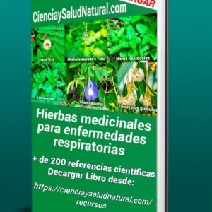 Hierbas medicinales para enfermedades respiratorias
